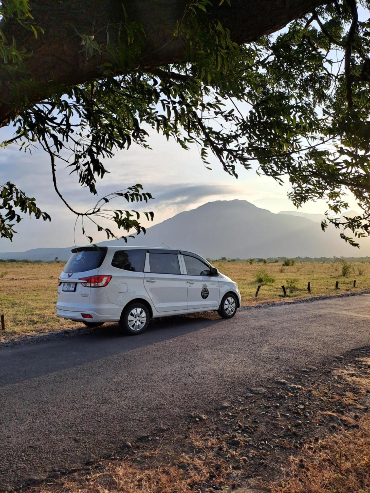 Tropical Paradiso Homestay Banyuwangi  Esterno foto